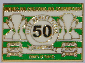 celtic 50 titles badge