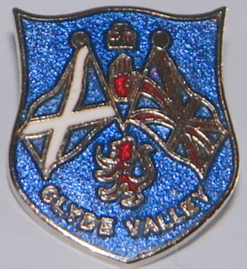 clyde valley badge